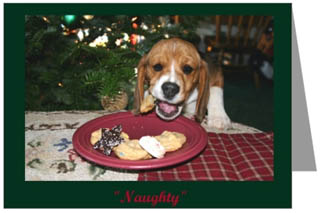 beagle christmas cards