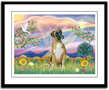 boxer dog angel