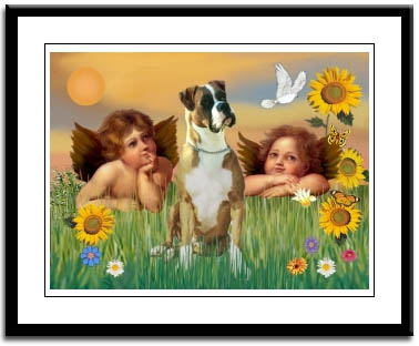 boxer dog angel