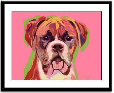 boxer dog 2