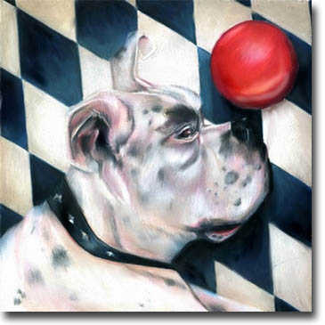 white harlequin boxer