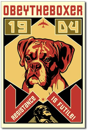 obey the boxer dog