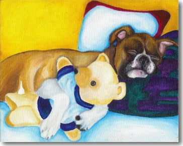 sleeping boxer dog
