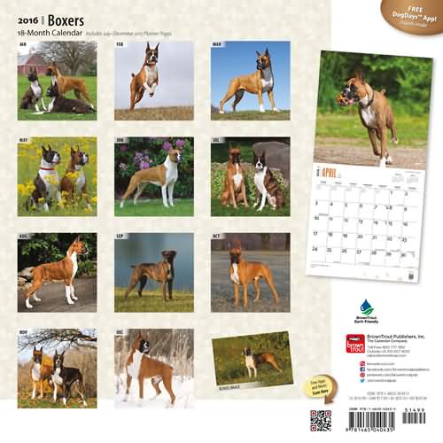 Boxer Dog Calendar
