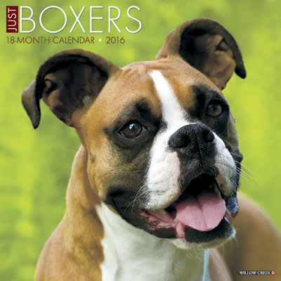 Just Boxer dog Calendar