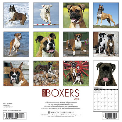 Just Boxer Dog Calendar