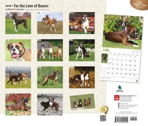 Boxer Dog Deluxe Calendar 2016
