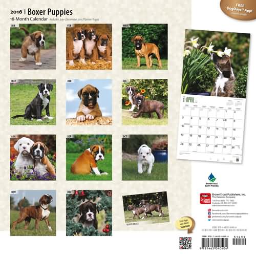 Boxer Dog Puppies Calendar