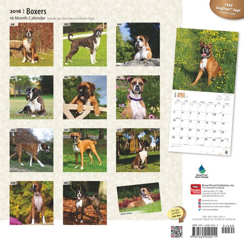 Boxer Dog Calendar 2016