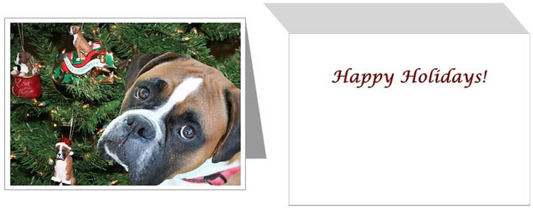 Boxer Christmas Cards