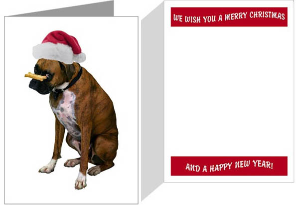 Boxer Santa Hat