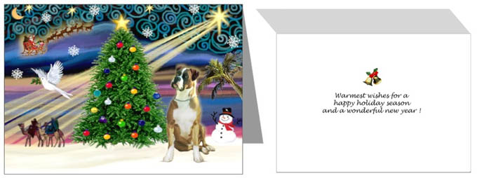 Boxer Xmas Magic