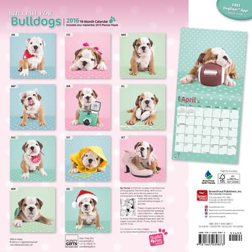 Bulldog Calendar Myrna