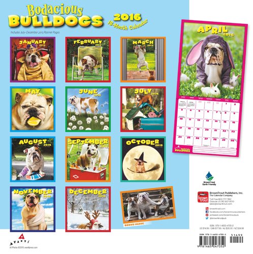 Bulldog Calendar 2016