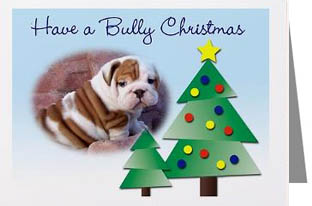 English Bulldog Pup Christmas Cards