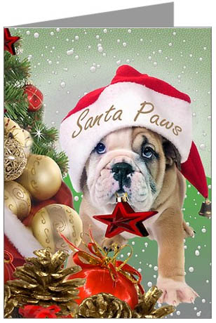 Bulldogs Christmas Cards