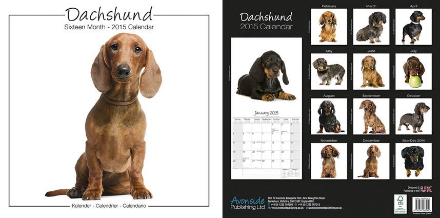 Dachshund Calendar - 2015 Wall calendars
