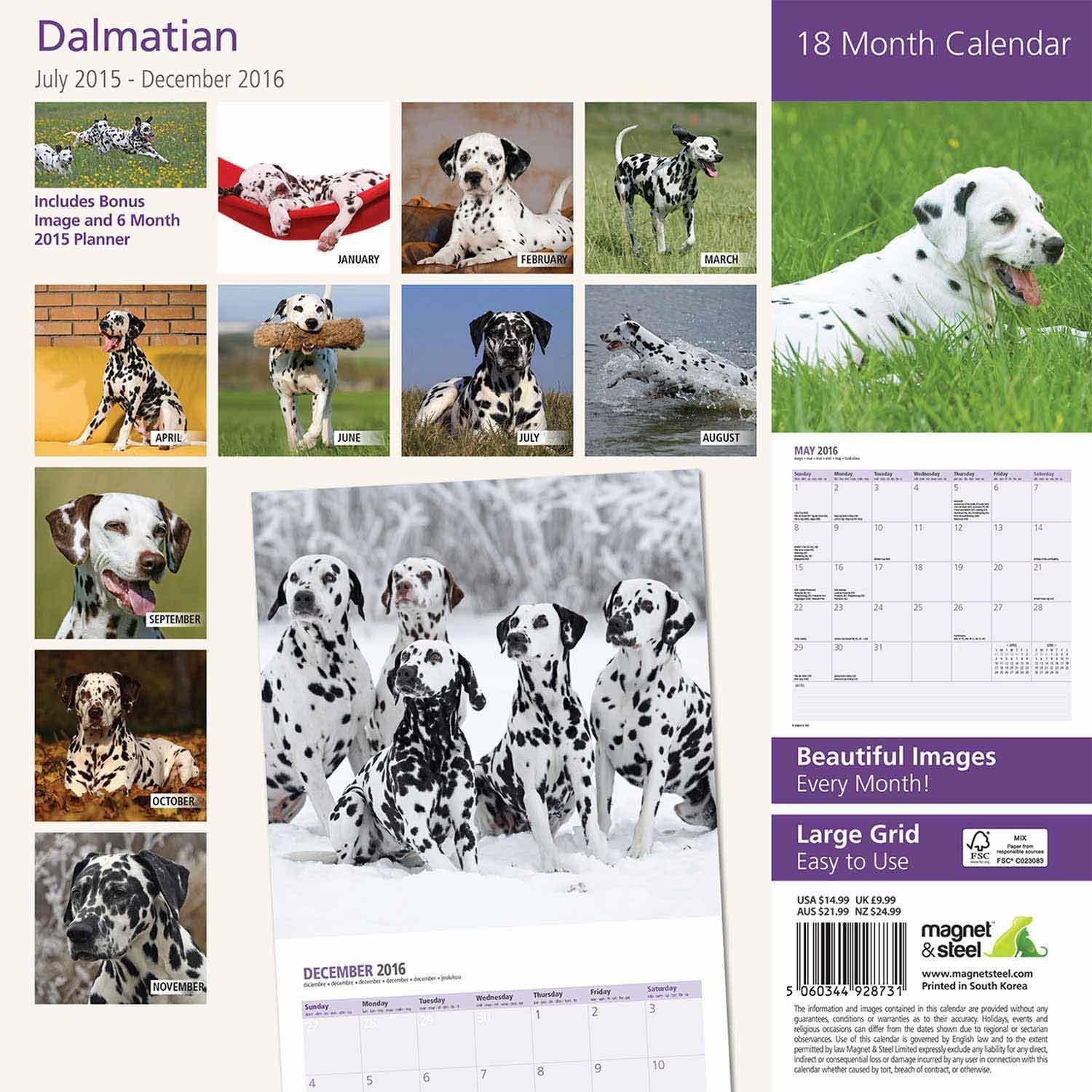Magnet & Steel Dalmatian 18 Month 2016 Traditional Wall Calendar 