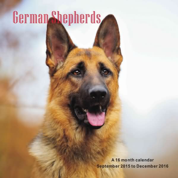 German Shepherd Calendar 2016