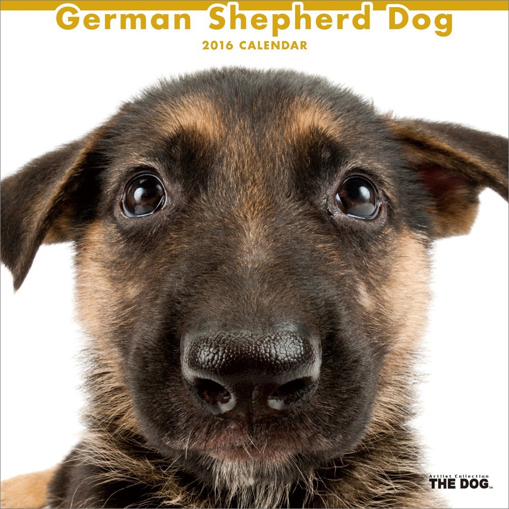 THE DOG Wall Calendar 2016 German Shepherd Dog
