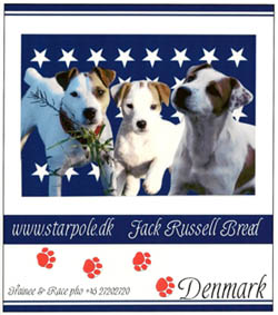 Jack Russell Terrier kennel