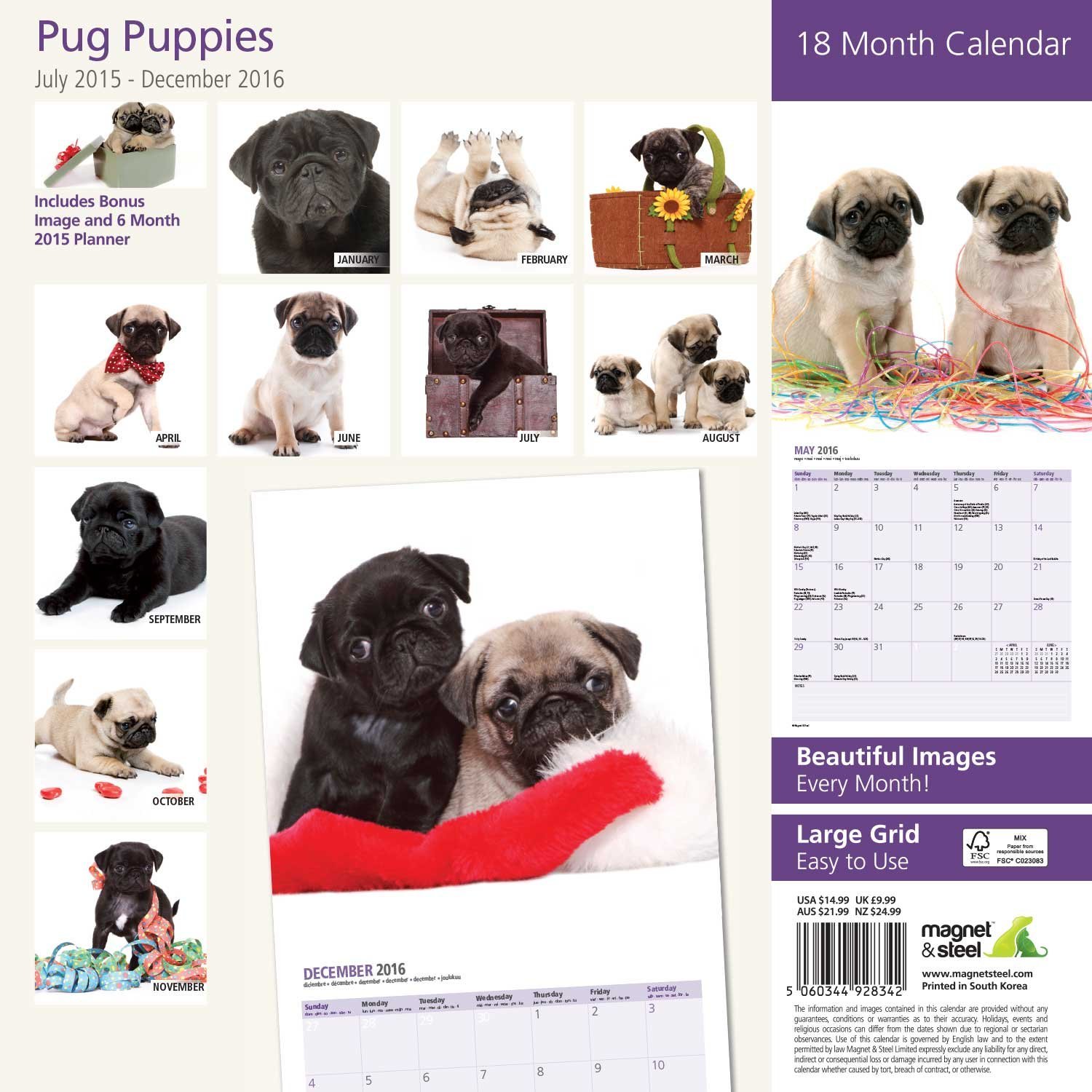 Magnet & Steel 18 Month 2016 Wall Calendar, Pug Puppies