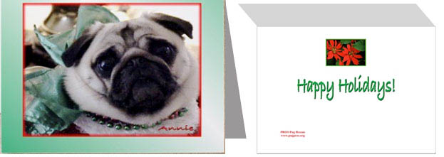 Green Annie Christmas Greeting Cards