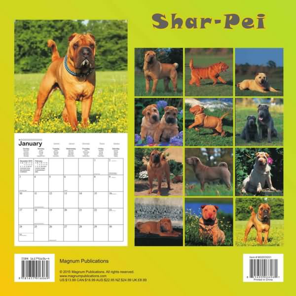 Shar Pei Calendar