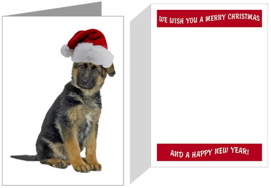 German Shepherd Puppy Christmas Cards