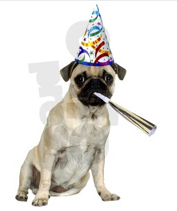 pug birthday card