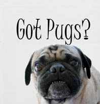 Got Pugs